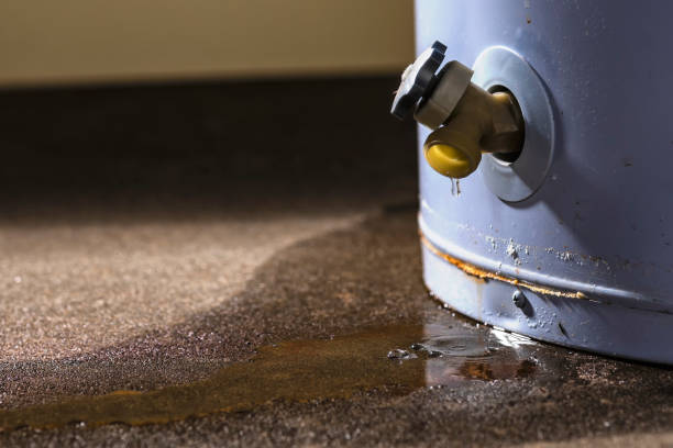 Best Mold removal after water damage  in Fyffe, AL