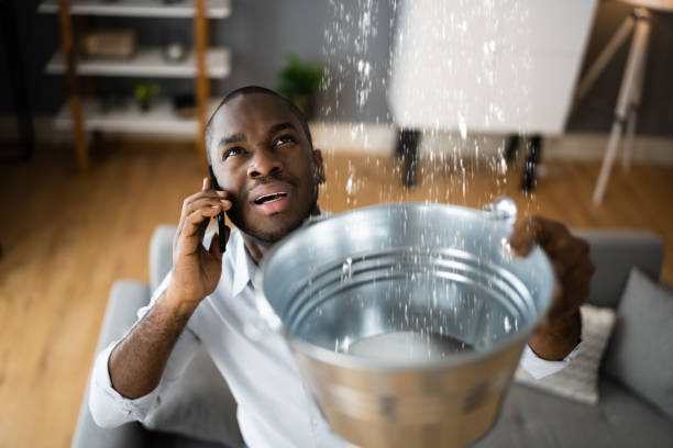 Best Sewage cleanup and water damage restoration  in Fyffe, AL