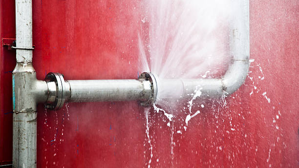  Fyffe, AL Water damage restoration Pros